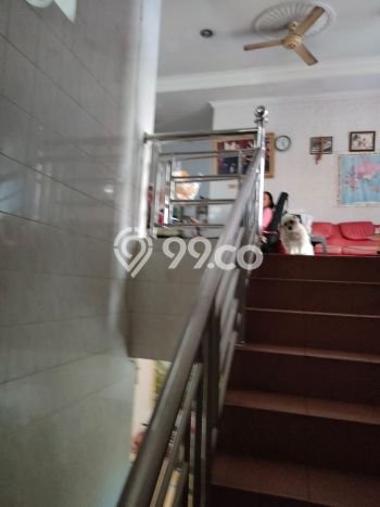 Rumah Elit Modern Siap Huni di Pluit Jakarta Utara Rumah Elit Modern Siap Huni di Pluit Jakarta Utara