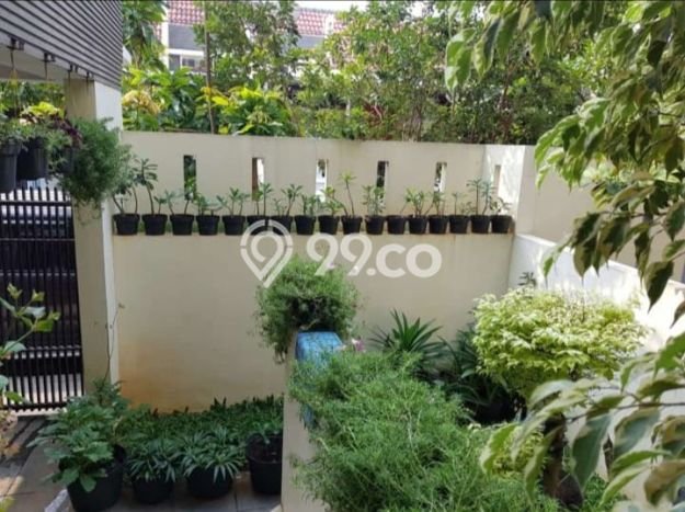 Dijual rumah 2,5 lantai sudah renov di Daan Mogot arcadia,nego Dijual rumah 2,5 lantai sudah renov di Daan Mogot arcadia,nego