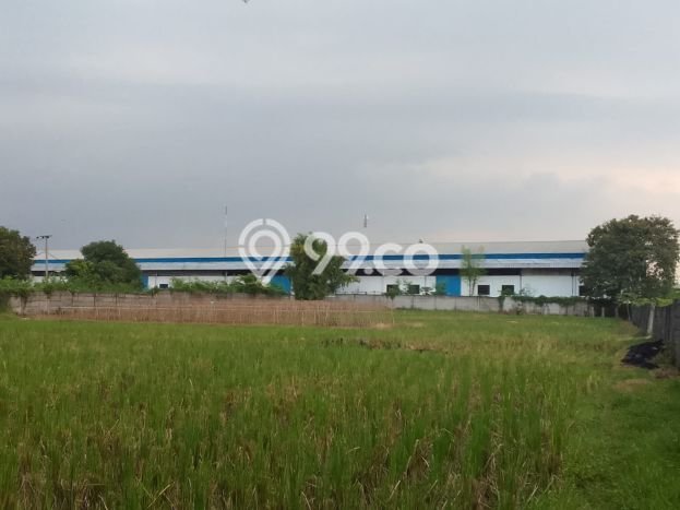 Untuk Dijual Pabrik di Karawang Timur Karawang LT 18000m2 / LB 9000m2 Untuk Dijual Pabrik di Karawang Timur Karawang LT 18000m2 / LB 9000m2