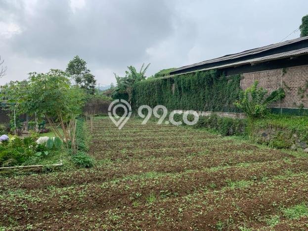 Vila Berkembang di Cipanas, Dimensi 2150m2m², Area Asri untuk keluarga Vila Berkembang di Cipanas, Dimensi 2150m2m², Area Asri untuk keluarga