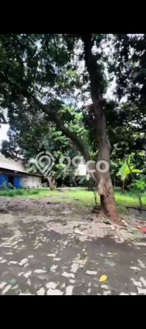 Unit Gudang Tersedia di Daan Mogot Spesifikasi LB 1500m2 Unit Gudang Tersedia di Daan Mogot Spesifikasi LB 1500m2