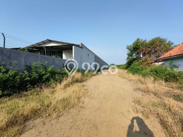 Gudang Dijual Lokasi Emas di Tegal Barat Luas 1600m2 Gudang Dijual Lokasi Emas di Tegal Barat Luas 1600m2
