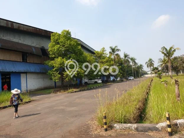 KAWASAN KOMERSIAL! Gudang Disewakan di Balaraja, Luas 17000m², Akses Utama KAWASAN KOMERSIAL! Gudang Disewakan di Balaraja, Luas 17000m², Akses Utama