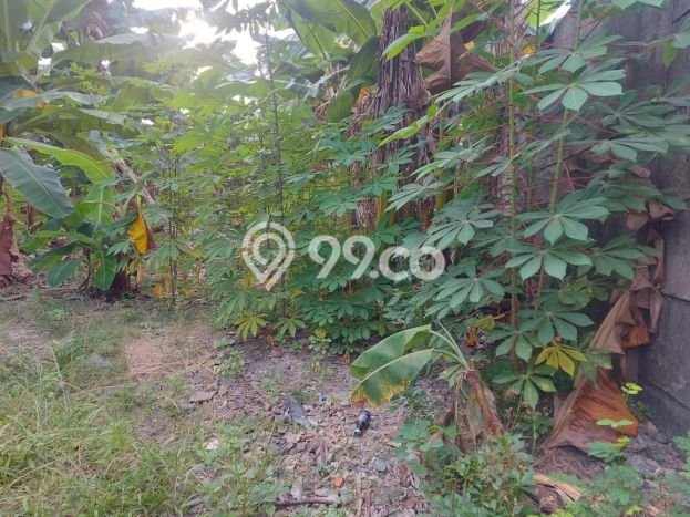 Tanah Dijual Area Strategis di Cikokol Tangerang 11630m2 Tanah Dijual Area Strategis di Cikokol Tangerang 11630m2