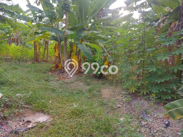 Tanah Dijual Area Strategis di Cikokol Tangerang 11630m2 Tanah Dijual Area Strategis di Cikokol Tangerang 11630m2