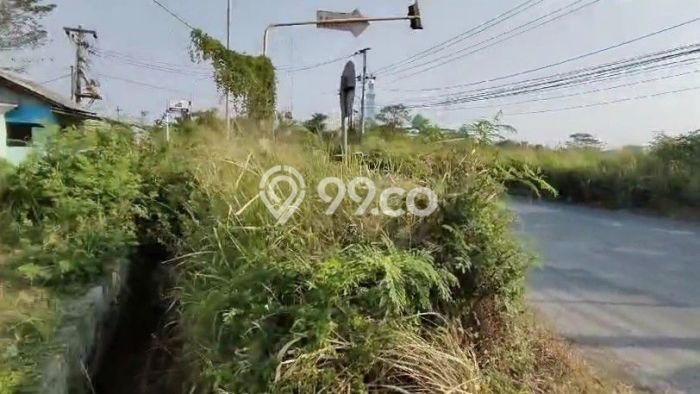 Gudang Dijual Lokasi Emas di Tegal Barat Luas 1600m2 Gudang Dijual Lokasi Emas di Tegal Barat Luas 1600m2