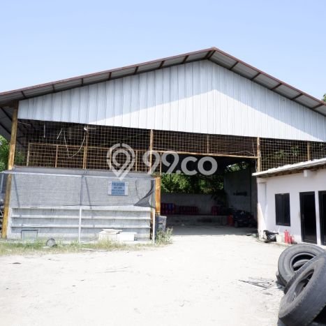 Gudang Usaha Dijual di Tegal Timur Tegal LT 2890m2 & LB 1600m2 Gudang Usaha Dijual di Tegal Timur Tegal LT 2890m2 & LB 1600m2