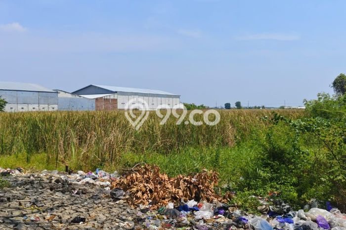 Untuk Dijual Tanah di Tegal Barat Tegal Luas 6090m2 SHM Untuk Dijual Tanah di Tegal Barat Tegal Luas 6090m2 SHM