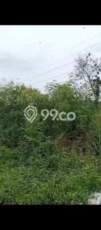 Tanah di Pasar Kemis, Luas 23000m², Akses Jalan Raya, Area Berkembang Tanah di Pasar Kemis, Luas 23000m², Akses Jalan Raya, Area Berkembang