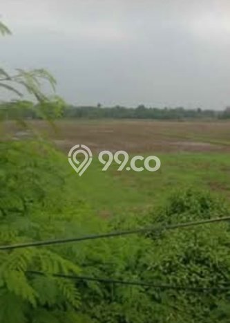 For Sale Tanah di Legok, Luas 300000m2m², Area Potensial For Sale Tanah di Legok, Luas 300000m2m², Area Potensial