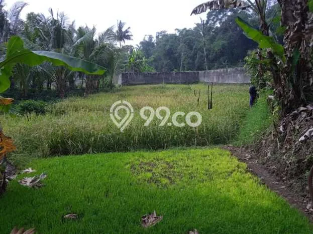 Vila Strategis di Cipanas, Area 5125m2m², Area Asri Vila Strategis di Cipanas, Area 5125m2m², Area Asri