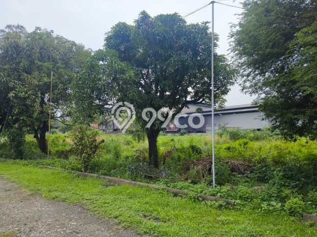 Pabrik Bagus Dijual di Pasar Kemis Tangerang Strategis Cocok untuk Kembangkan Bisnis Pabrik Bagus Dijual di Pasar Kemis Tangerang Strategis Cocok untuk Kembangkan Bisnis