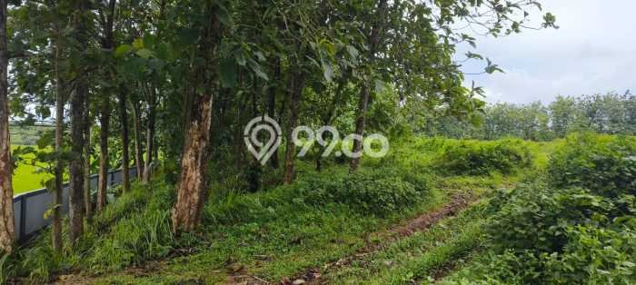 Dijual Tanah di Tangerang Tangerang Luas 180000m2 SHM Dijual Tanah di Tangerang Tangerang Luas 180000m2 SHM