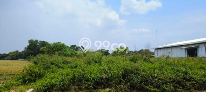 Tanah Kosong Dijual di Tangerang dengan Area 930m2 Tanah Kosong Dijual di Tangerang dengan Area 930m2