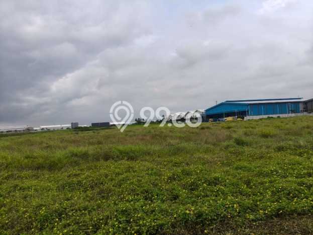 Tanah Kavling di Cengkareng Dijual dengan Luas 5337m2 Tanah Kavling di Cengkareng Dijual dengan Luas 5337m2