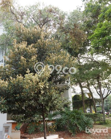 Jual Rumah Mewah Megah Dengan View Cantik di Bintaro, Tangerang Selatan Jual Rumah Mewah Megah Dengan View Cantik di Bintaro, Tangerang Selatan