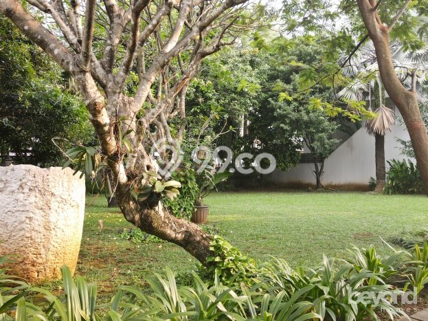 Kavling Tanah Dijual di Cilandak, Jakarta Selatan, Luas 920m2 Area Strategis Kavling Tanah Dijual di Cilandak, Jakarta Selatan, Luas 920m2 Area Strategis