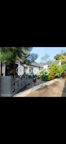 Dijual Rumah Strategis Bagus Punya 2 KT di Ciomas Bogor SHM Dijual Rumah Strategis Bagus Punya 2 KT di Ciomas Bogor SHM