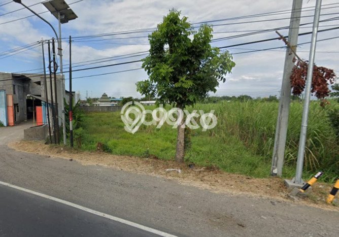 Untuk Dijual Tanah di Dlanggu Mojokerto Luas 1463m2 SHM Untuk Dijual Tanah di Dlanggu Mojokerto Luas 1463m2 SHM