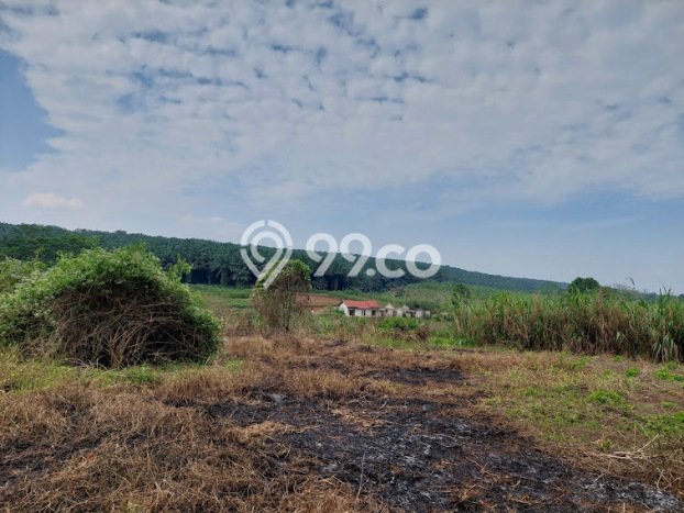 Dijual Tanah di Mande Cianjur Luas 11000m2 SHM Dijual Tanah di Mande Cianjur Luas 11000m2 SHM