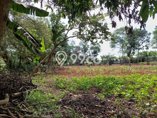 Dijual Tanah di Mande Cianjur Luas 11000m2 SHM Dijual Tanah di Mande Cianjur Luas 11000m2 SHM