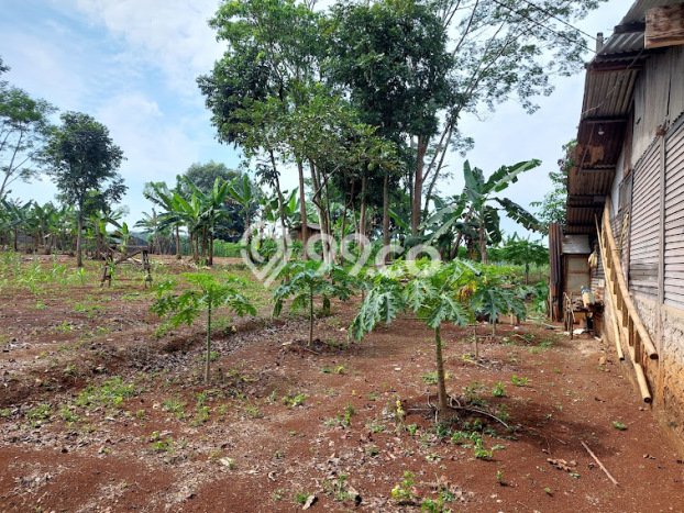 Dijual Tanah di Mande Cianjur Luas 11000m2 SHM Dijual Tanah di Mande Cianjur Luas 11000m2 SHM