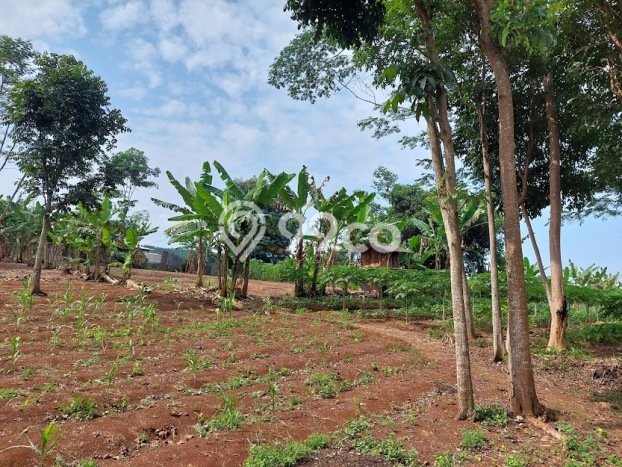 Dijual Tanah di Mande Cianjur Luas 11000m2 SHM Dijual Tanah di Mande Cianjur Luas 11000m2 SHM