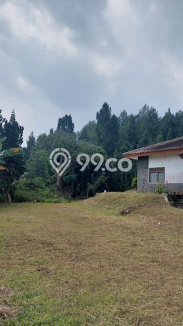 Dijual Rumah Mewah Exclusive di Cisarua, Bogor Dijual Rumah Mewah Exclusive di Cisarua, Bogor