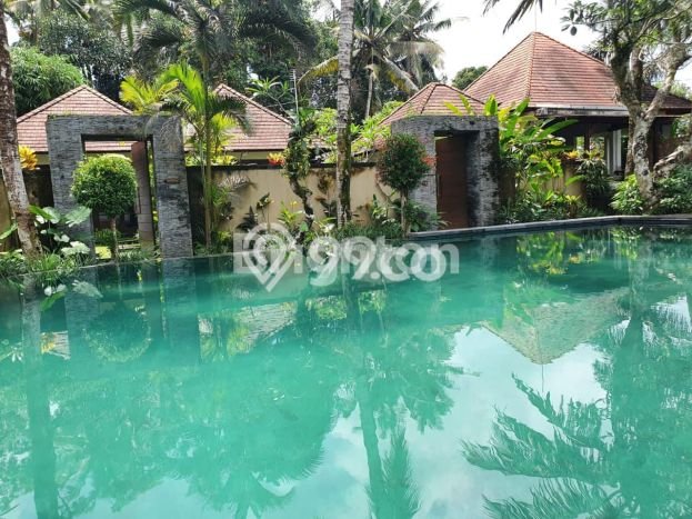 Best Deal Hunian Premium Ideal dan Luas di Payangan, Gianyar Best Deal Hunian Premium Ideal dan Luas di Payangan, Gianyar