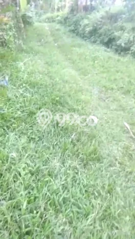 Tanah di Penebel, Tabanan Luas 400m2 Dijual Segera Tanah di Penebel, Tabanan Luas 400m2 Dijual Segera