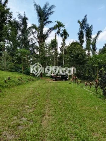 Jarang Ada! Tanah di Penebel Punya Luas 500m2 SHM Jarang Ada! Tanah di Penebel Punya Luas 500m2 SHM