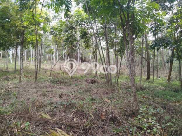 POTENSIAL! Tanah di Kota Sukabumi, Luas 35000m2m², Area Berkembang POTENSIAL! Tanah di Kota Sukabumi, Luas 35000m2m², Area Berkembang