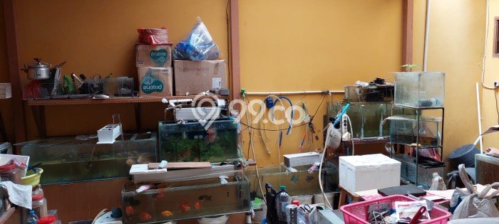 Siap Huni Rumah Mewah 3 Kamar di Karang Tengah Dekat ke Mana Saja Siap Huni Rumah Mewah 3 Kamar di Karang Tengah Dekat ke Mana Saja