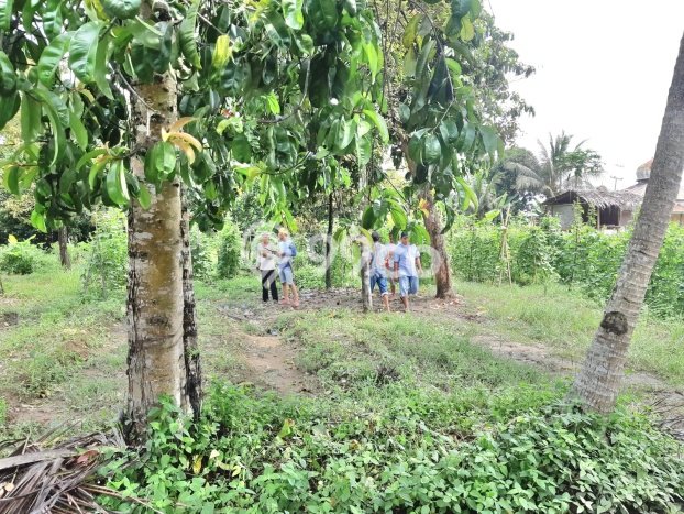 Lahan Kosong Dijual di Pantai Cermin, Serdang Bedagai, Luas 140000m2 Area Strategis Lahan Kosong Dijual di Pantai Cermin, Serdang Bedagai, Luas 140000m2 Area Strategis
