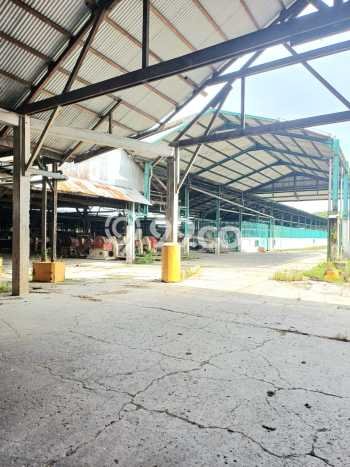 Dijual Tanah di Medan Sunggal Medan Luas 100000m2 - Dijual Tanah di Medan Sunggal Medan Luas 100000m2 -