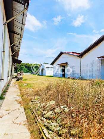 Gudang disewakan lokasi strategis Percut Sei Tuan Deli Serdang 1656m2 Gudang disewakan lokasi strategis Percut Sei Tuan Deli Serdang 1656m2