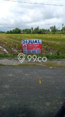 Tanah untuk Dijual di Pundong Bantul Luas 1501m2 Tanah untuk Dijual di Pundong Bantul Luas 1501m2