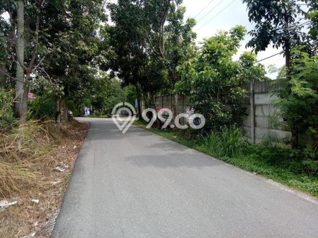 Kavling Tanah di Bukit Raya Dijual Luas 55957m2 Legalitas SHM Kavling Tanah di Bukit Raya Dijual Luas 55957m2 Legalitas SHM