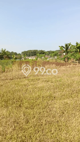 Tanah Potensial Kawasan Ciseeng, Luas 30000m2m², Akses Mudah Tanah Potensial Kawasan Ciseeng, Luas 30000m2m², Akses Mudah