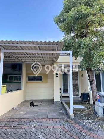 PROMO SPESIAL! Dijual Rumah Premium di Sukolilo, Surabaya, LT 96m2m² Luas Bangunan 80m2m² PROMO SPESIAL! Dijual Rumah Premium di Sukolilo, Surabaya, LT 96m2m² Luas Bangunan 80m2m²