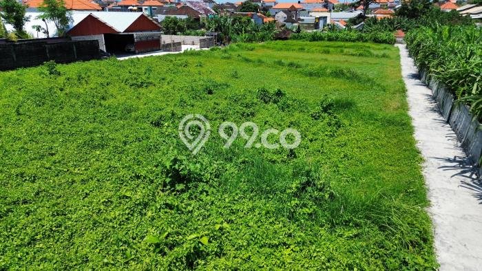 Jarang Ada! Tanah Kavling Disewakan di Badung 2400m2 Jarang Ada! Tanah Kavling Disewakan di Badung 2400m2