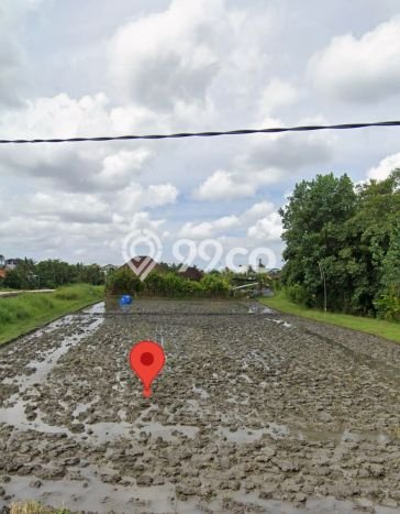 Jarang Ada! Tanah Kavling Disewakan di Badung 700m2 Jarang Ada! Tanah Kavling Disewakan di Badung 700m2