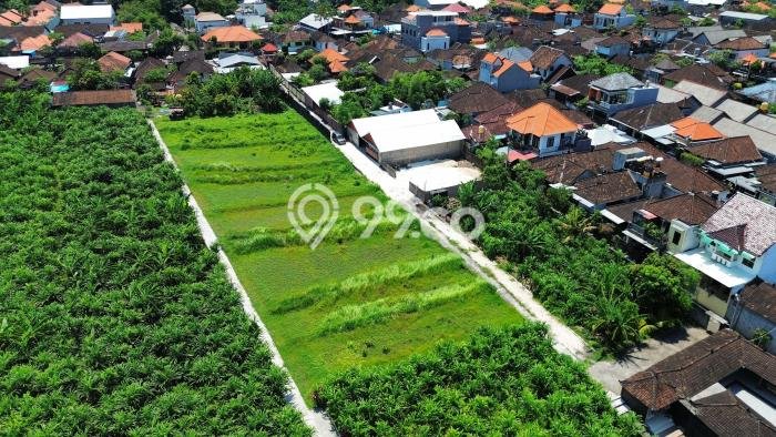 Jarang Ada! Tanah Kavling Disewakan di Badung 2400m2 Jarang Ada! Tanah Kavling Disewakan di Badung 2400m2