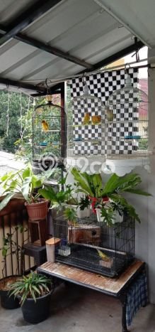 Rumah Sederhana Dijual di Beji 0 Kamar dengan Luas Tanah 36m2 Rumah Sederhana Dijual di Beji 0 Kamar dengan Luas Tanah 36m2