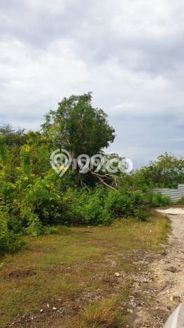 Tanah Kavling Dijual di Jimbaran, Badung dengan Luas Tanah 6000m2 Tanah Kavling Dijual di Jimbaran, Badung dengan Luas Tanah 6000m2
