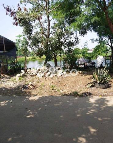 Jual Rumah Siap Huni di Babelan Bekasi Harga Rp 275 Juta LT 60m2 Jual Rumah Siap Huni di Babelan Bekasi Harga Rp 275 Juta LT 60m2