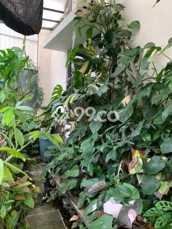 Hunian Nyaman Asri 3 KT Siap Pakai di harapan indah Bekasi Hunian Nyaman Asri 3 KT Siap Pakai di harapan indah Bekasi