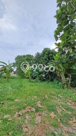 Tanah Komersial di Tembalang, Luas 445m², Akses Mudah Tanah Komersial di Tembalang, Luas 445m², Akses Mudah