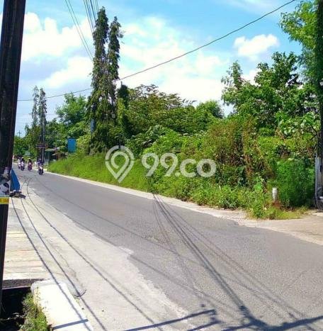 Tanah Disewa di Godean Sleman dengan Luas 6000m2 Tanah Disewa di Godean Sleman dengan Luas 6000m2