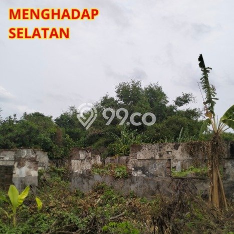 Tanah untuk Dijual Lokasi Ploso, Jombang Luas 3960m2 SHM Tanah untuk Dijual Lokasi Ploso, Jombang Luas 3960m2 SHM